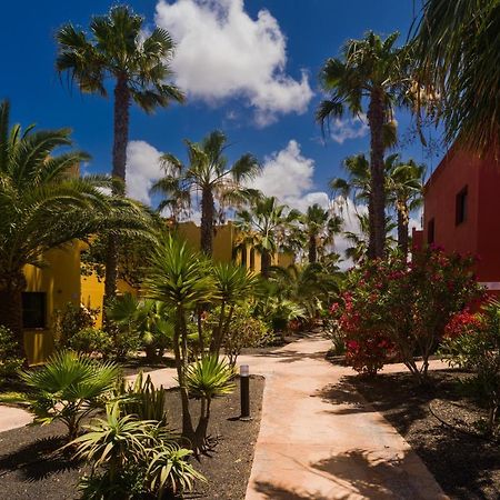 Apartament Oasis Vistamar Corralejo Zewnętrze zdjęcie