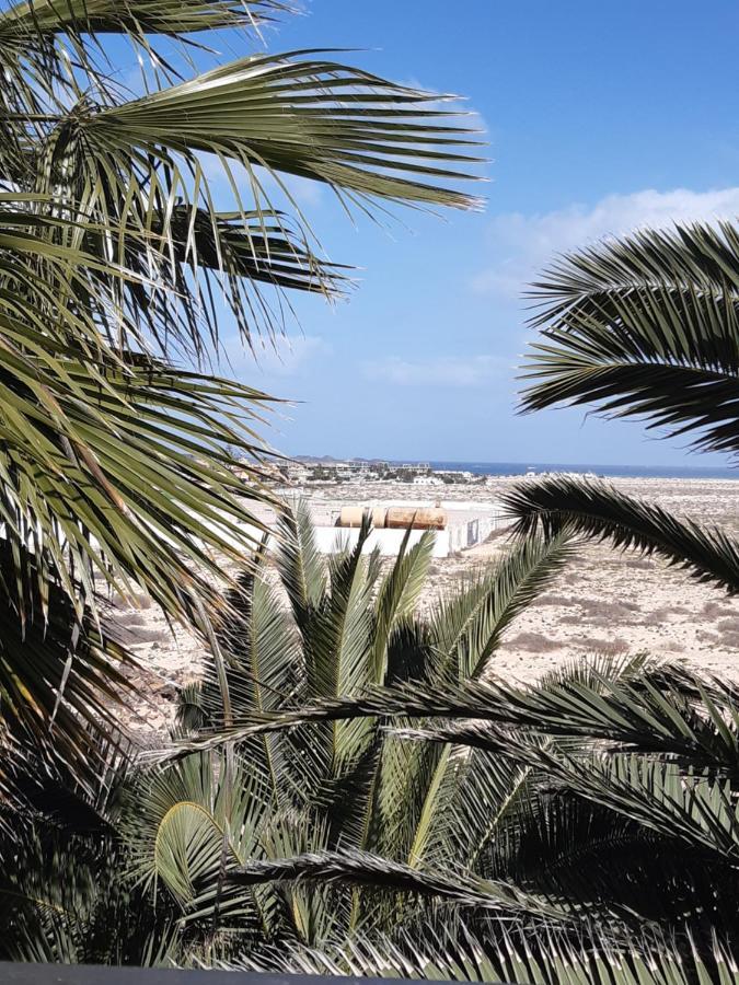 Apartament Oasis Vistamar Corralejo Zewnętrze zdjęcie