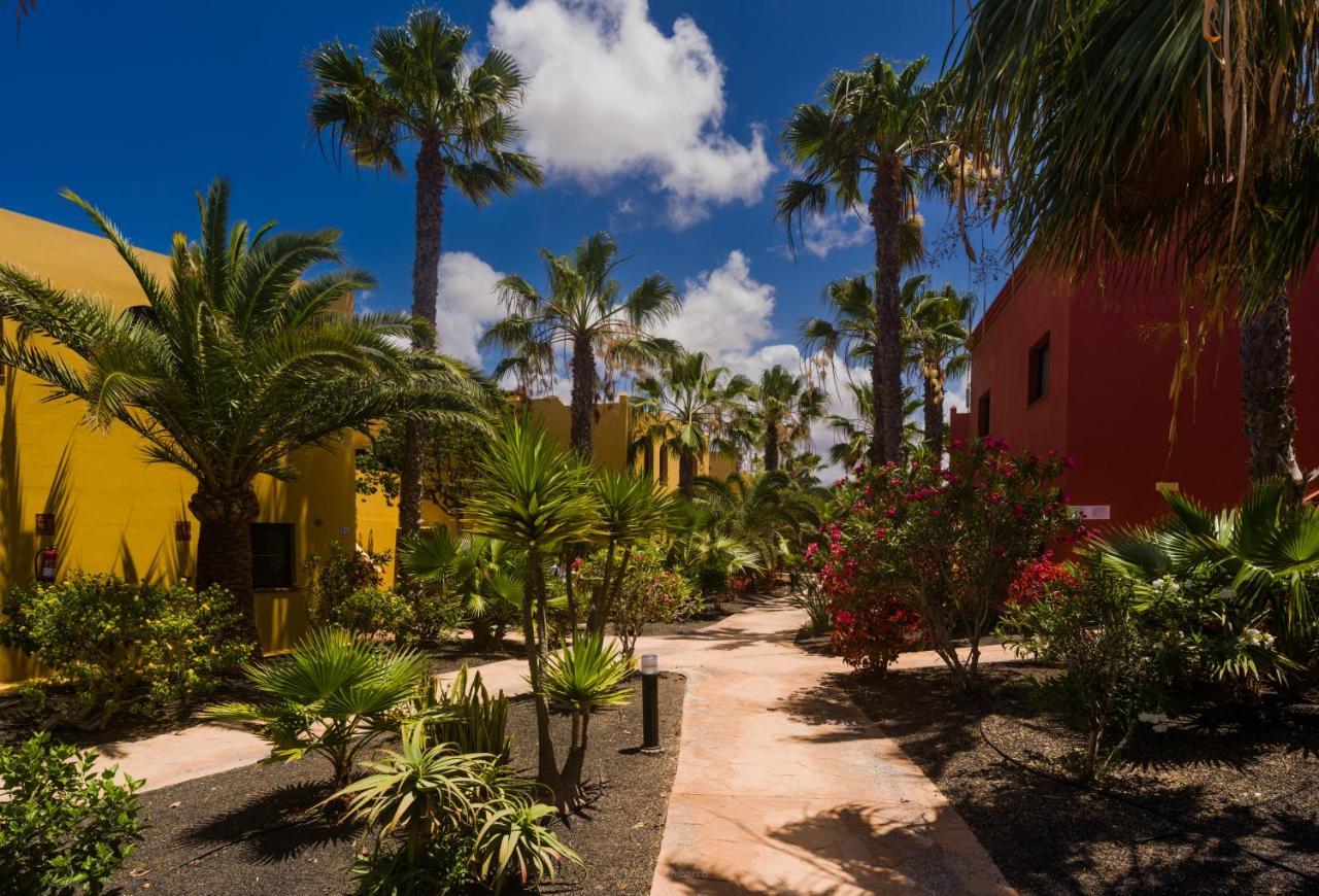 Apartament Oasis Vistamar Corralejo Zewnętrze zdjęcie