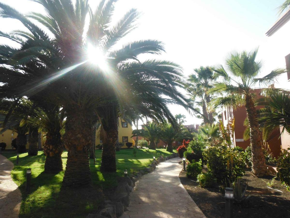 Apartament Oasis Vistamar Corralejo Zewnętrze zdjęcie